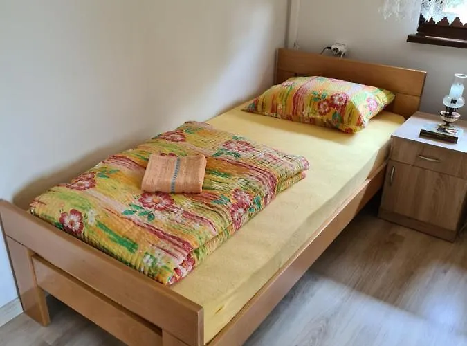 In Pavlovic Appartement Banja Koviljača